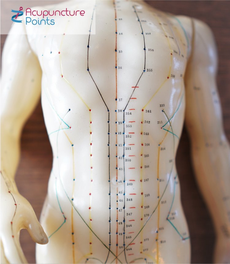 Content image for Key Acupuncture Points You Need to Know