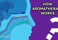 Featured image for How Aromatherapy Works: A Comprehensive Guide