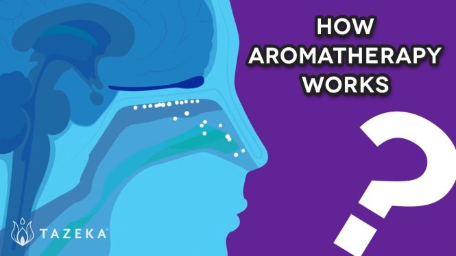 Featured image for How Aromatherapy Works: A Comprehensive Guide