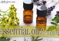 Featured image for What Is an Essential Oil? Exploring the Basics