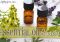 Featured image for What Is an Essential Oil? Exploring the Basics