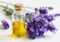 Featured image for Essential Oils for Stress Relief