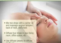 Featured image for Essential Oils for Headaches and Migraines
