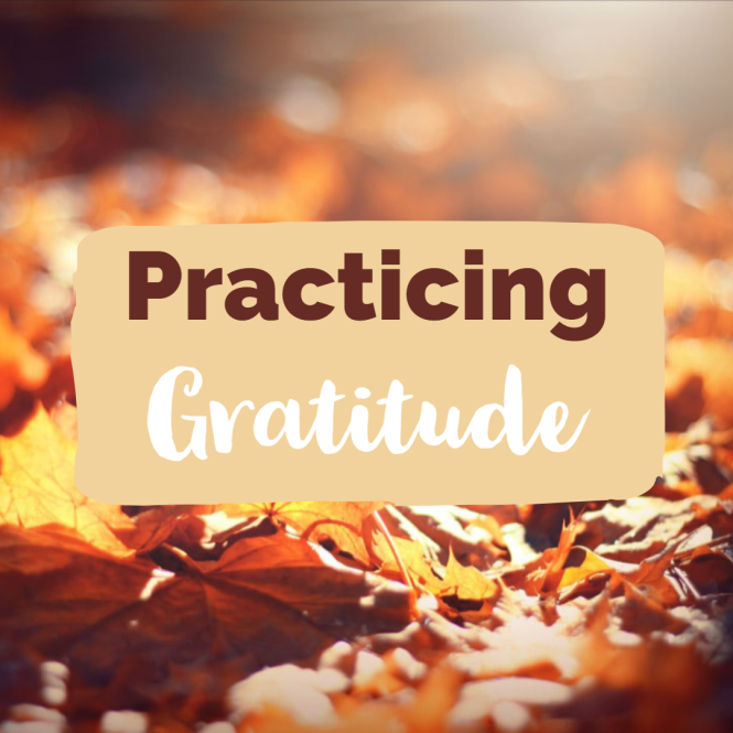 Featured image for Practicing Gratitude: Shifting Your Focus