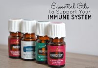 Featured image for Essential Oils for Immune Support