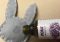 Featured image for Aromatherapy for Pets