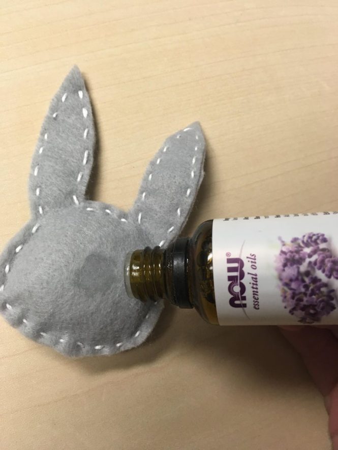 Featured image for Aromatherapy for Pets