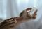 Featured image for Aromatherapy for Athletes