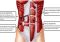 Featured image for Building a Strong Core: Abdominal and Oblique Training