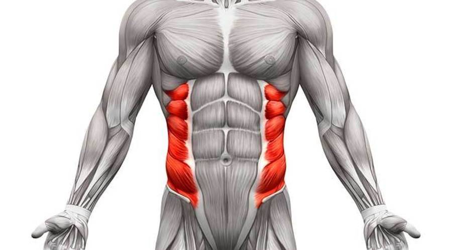 Content image for Building a Strong Core: Abdominal and Oblique Training