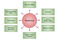 Featured image for The Emotional Recovery After Hair Loss: Building Resilience and Self-Love
