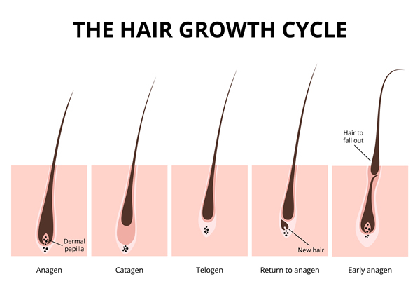 Featured image for Hair Loss and Cultural Practices: Understanding Hair Loss in Different Cultures