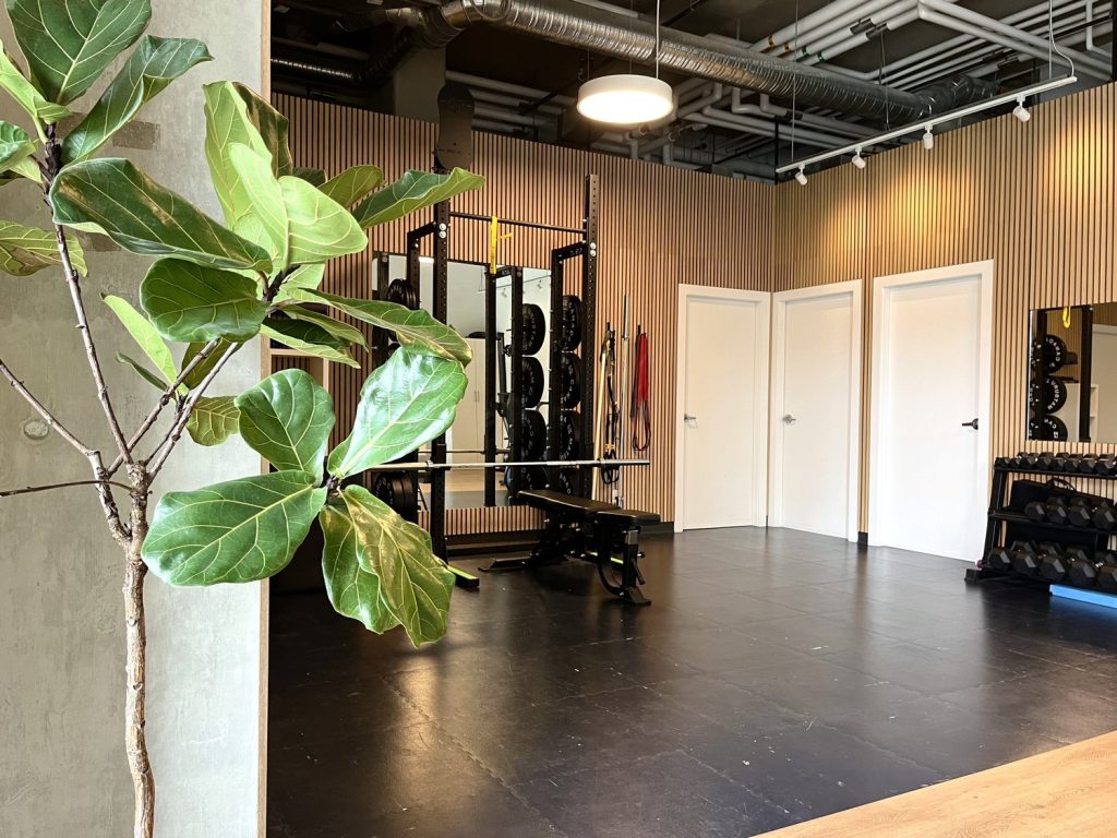 Content image for The Challenge of Sustainability: Eco-Friendly Physiotherapy Practices